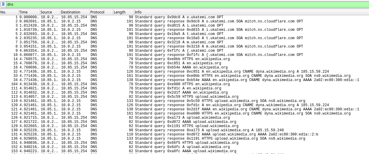 The DNS traffic in the pcap file