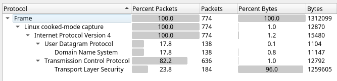 The protocol hierarchy in the capture file